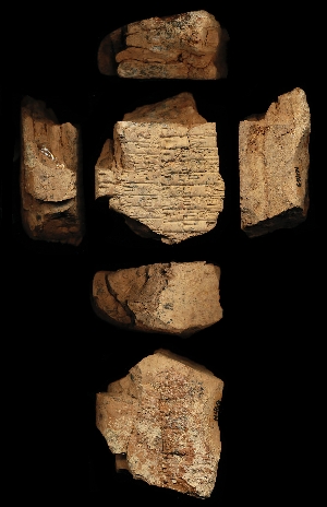 N469