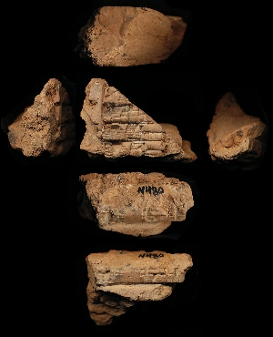 N480