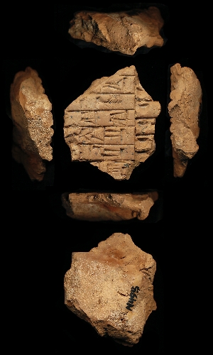 N495