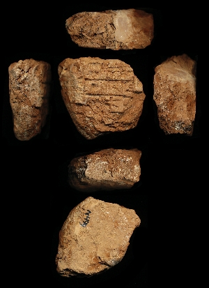 N499