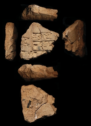 N501