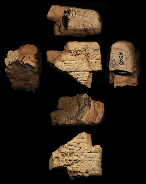 N505