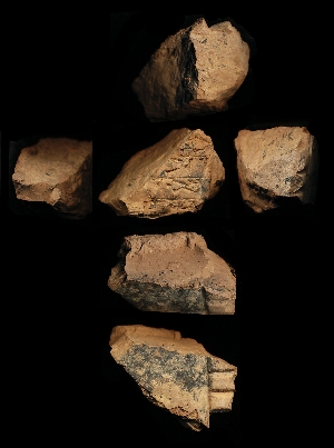 N506