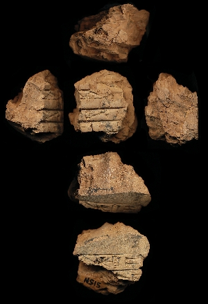 N515