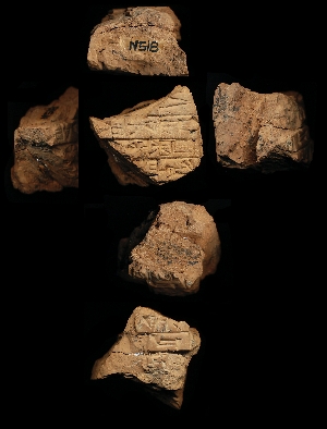 N518