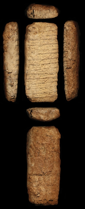 N533
