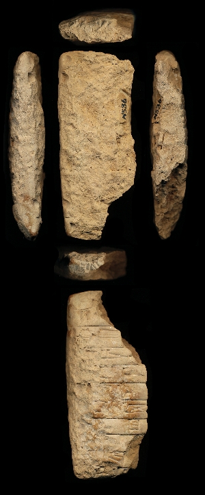 N536