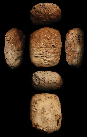 N554
