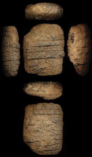 N555
