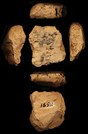 N591