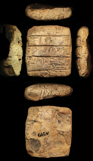 N599