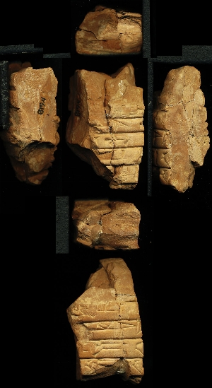 N618