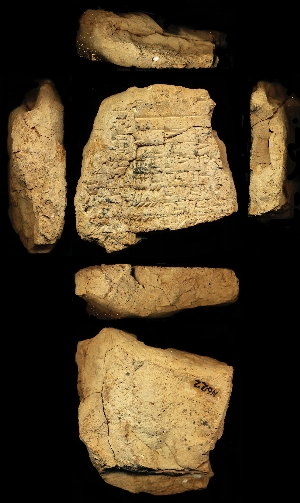 N622