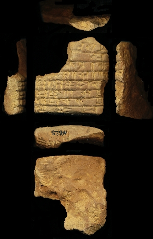 N625