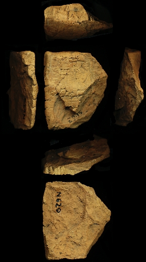 N629