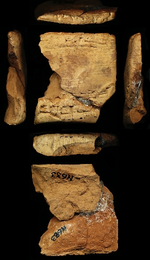 N633