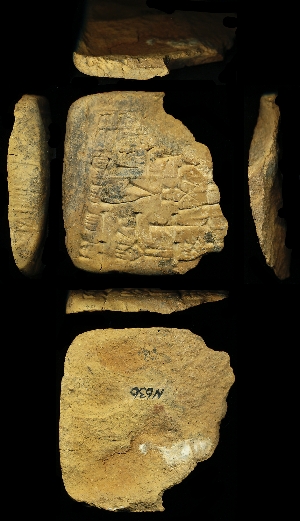 N636