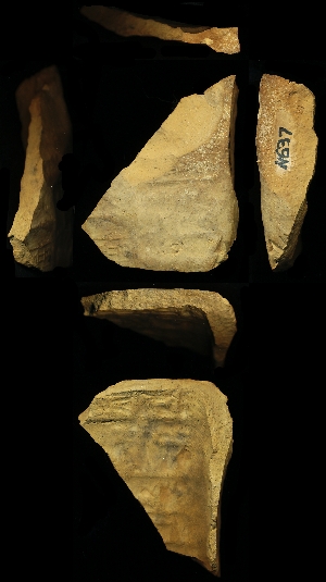 N637