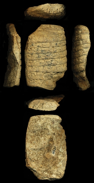 N651