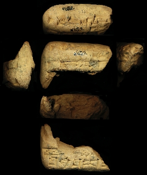 N652