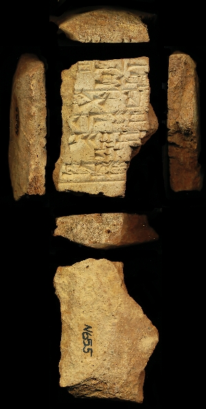 N655