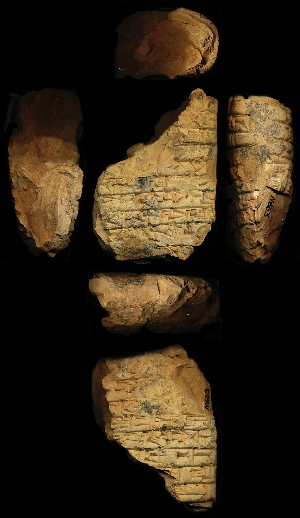 N663