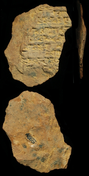N665