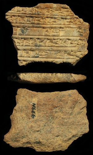 N666