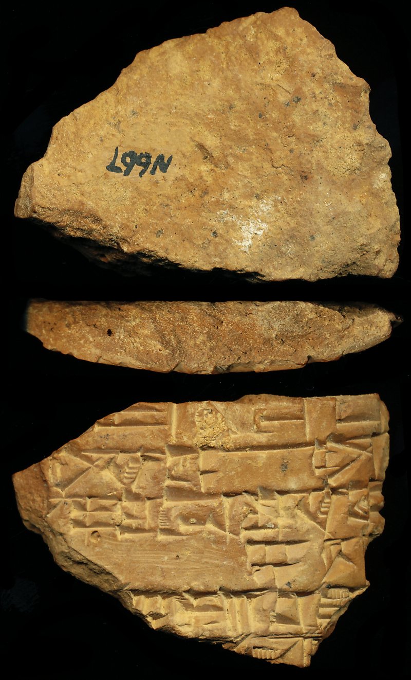 804449