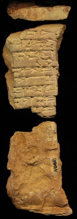 N668