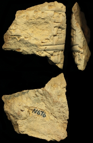 N676