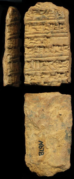 N678