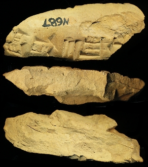 N687