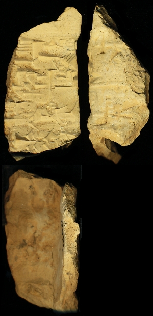 N688