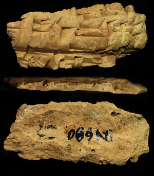 N690