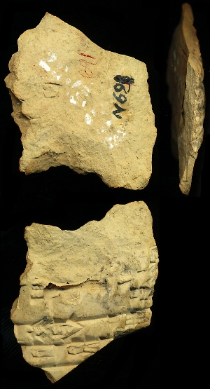 N691