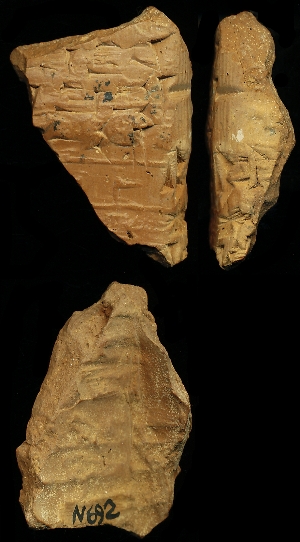 N692