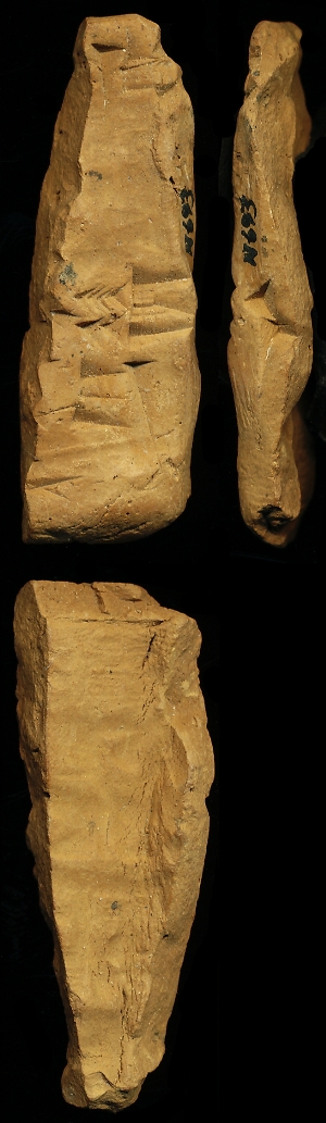 N693