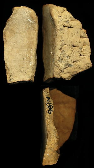 N696
