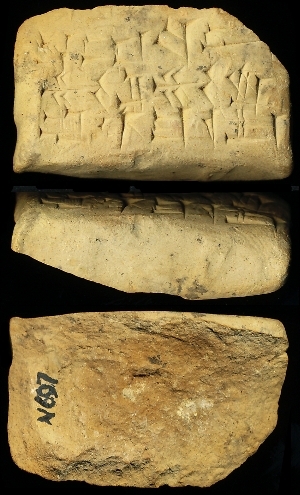 N697