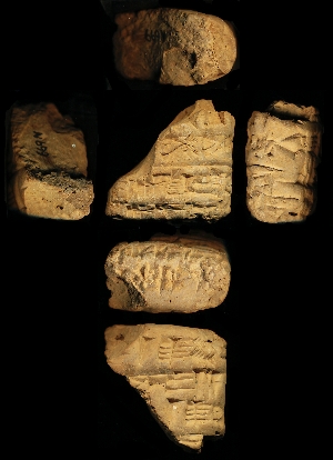 N699