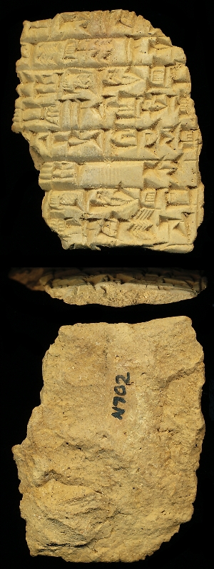 N702