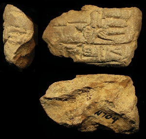 N704