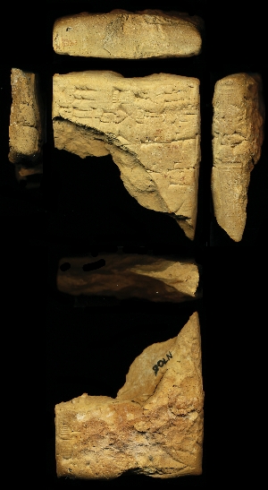 N706