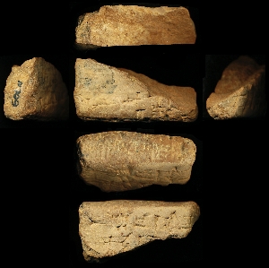 N709