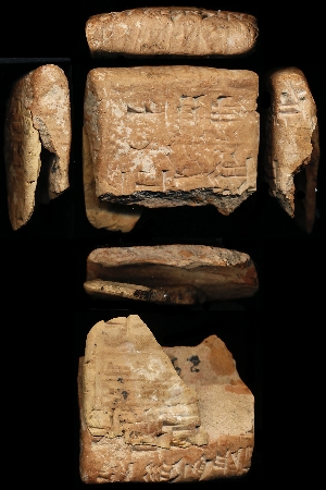 N711