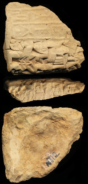 N712