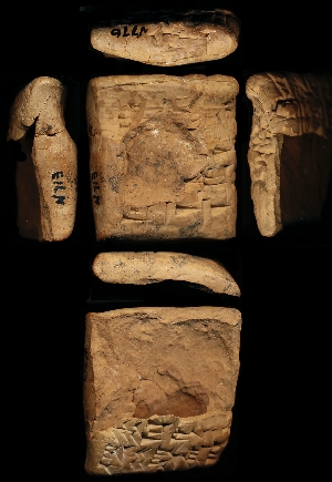 N713