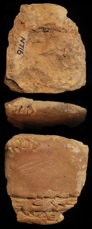 N716