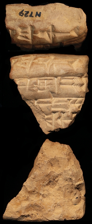 N729